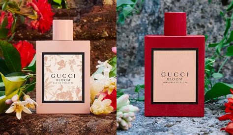 gucci bloom đỏ hay hồng